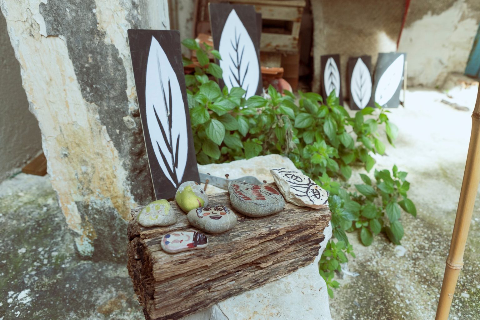 489635328_18004670798744108_1295062817966729777_n